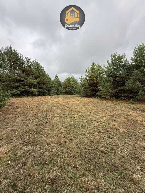 продажа участок под жилую застройку Вышгородский, Абрамовка, 10000 $  - зображення 3