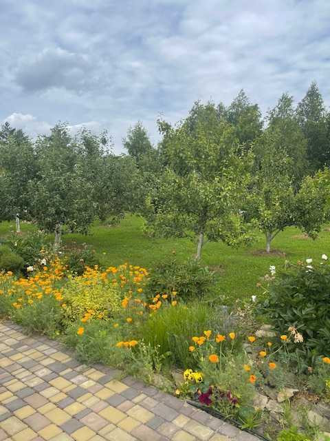 продажа 8-к дом Козелецкий, Евминка, 375000 $  - зображення 11