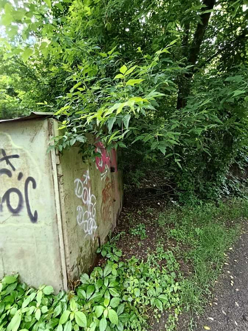 продажа земля коммерческого назначения Киев, Голосеевский, 399700 $ Київ - зображення 11