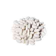 Купуємо квасолю. Від 10 тон. Приймаємо різні сорти Київ