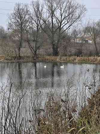 продажа 3-к дом Сквирский, Самгородок, 12000 $ 