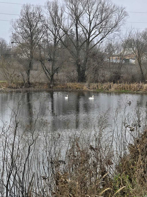 продажа 3-к дом Сквирский, Самгородок, 12000 $  - зображення 4