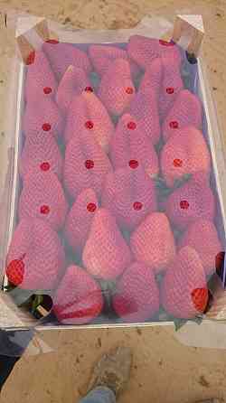 Продаем клубнику Київ