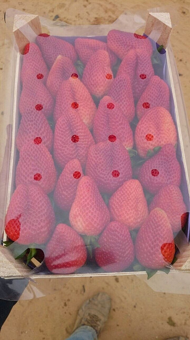 Продаем клубнику Киев - изображение 3