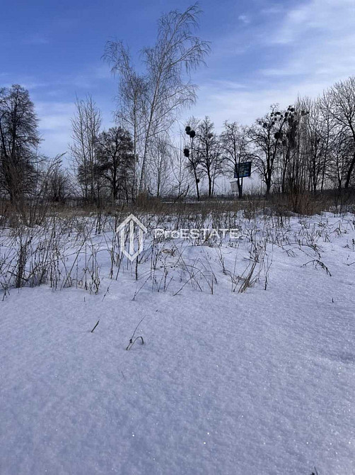 продажа земля сельскохозяйственного назначения Бориспольский, Гнедин, 60000 $  - зображення 8