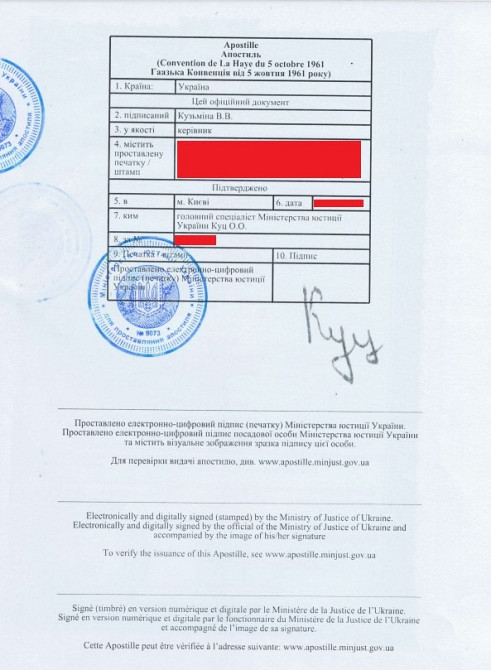 Перекладу, апостиль, витяг про несудимість, витребування документів Миколаїв - зображення 3
