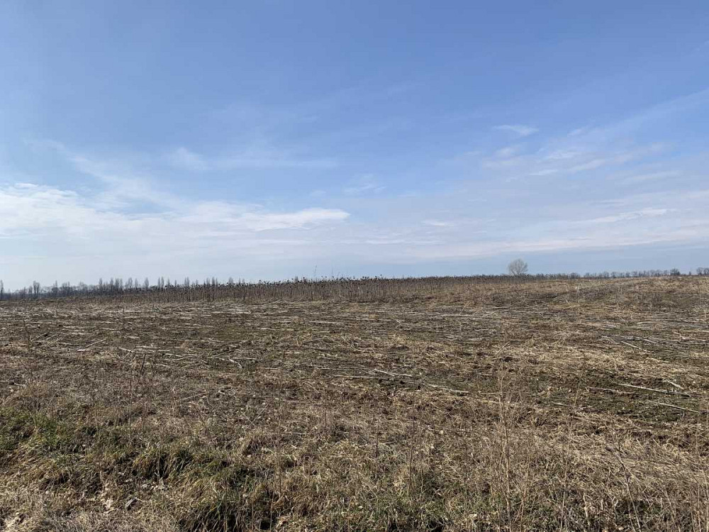 продажа земля сельскохозяйственного назначения Бориспольский, Глубокое, 389700 грн.  - изображение 3