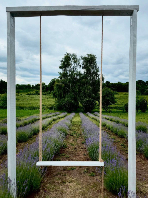 Приватний будинок в с. Трудолюб, Полтавської області Миргород - изображение 12