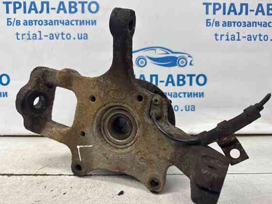 Кулак поворотный левый со ступицей Kia Sorento 2002-2011 517153E250 (Арт. 68988) Киев