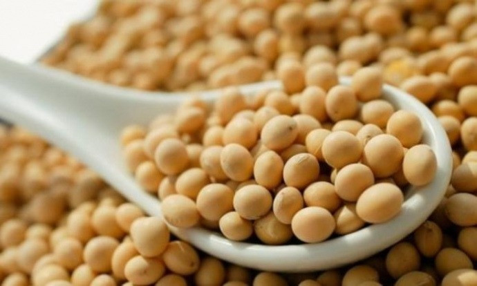 Закуповуємо відходи кукурудзи, половинки сої Кропивницький - зображення 1