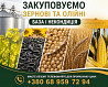 Купуємо зернові, олійні, бобові. База, некондиція Миколаїв