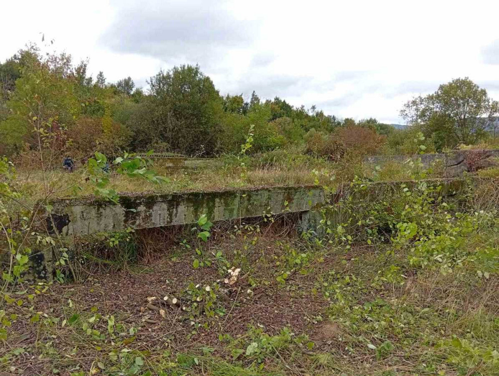 продажа земля коммерческого назначения Свалявский, Нелипино, 148350 $  - зображення 8