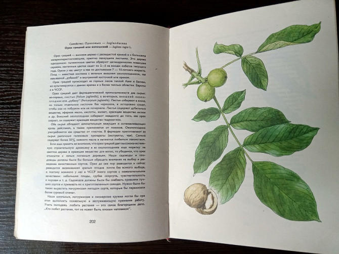 Книга: Лекарственные растения. Львів - зображення 12