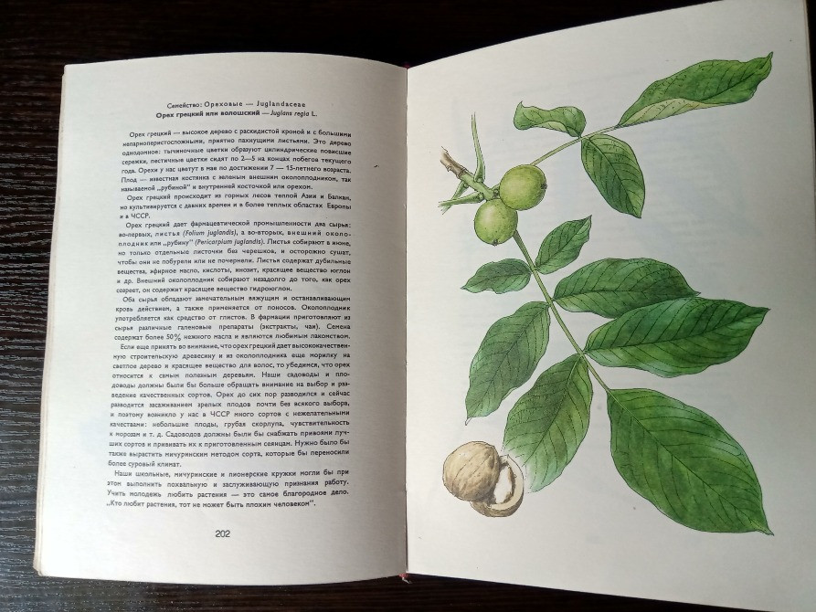 Книга: Лекарственные растения. Львов - изображение 12