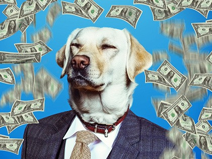 Оформити кредит під заставу квартири у Києві. Київ - зображення 1