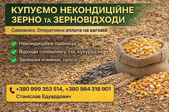 Купуємо некондицію та зерновідходи на постійній основі Полтава