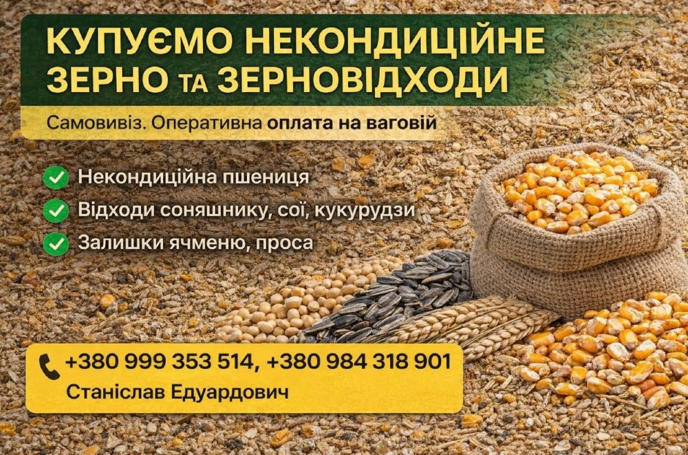 Купуємо некондицію та зерновідходи на постійній основі Полтава - зображення 1