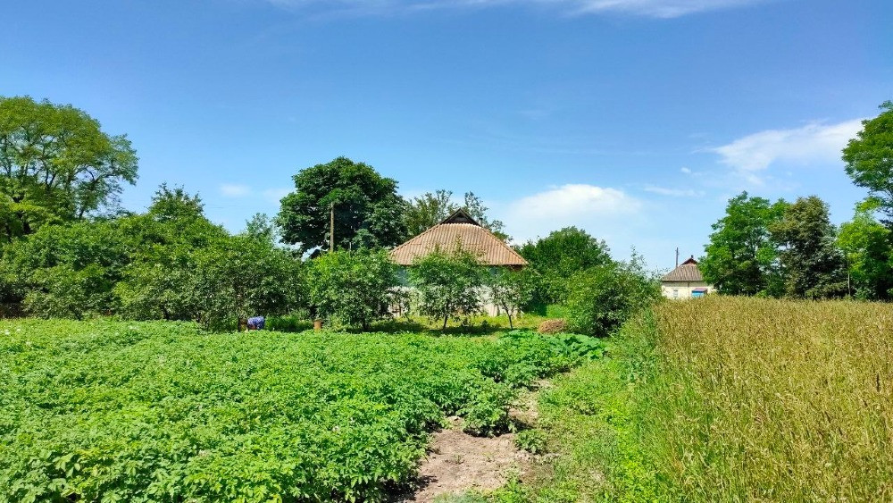 Продаж Будинку с. Недра, Баришевський р-н. Київська область Київ - зображення 1