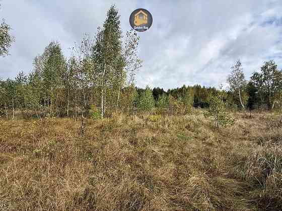 продажа земля сельскохозяйственного назначения Вышгородский, Ровы, 35000 $ 