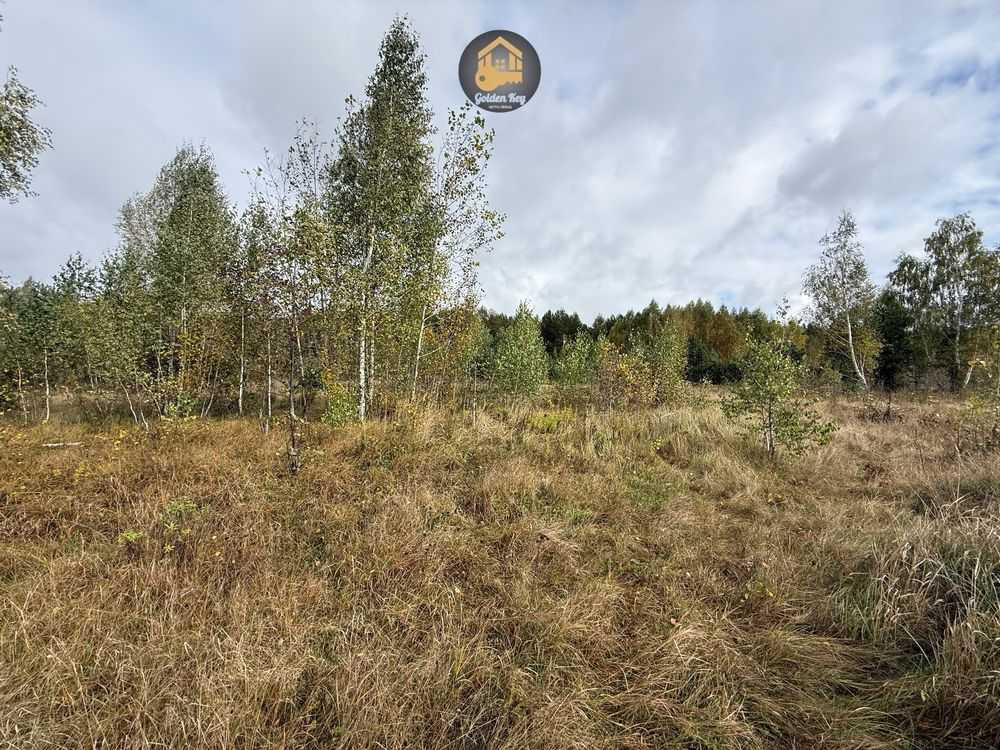 продажа земля сельскохозяйственного назначения Вышгородский, Ровы, 35000 $  - зображення 2