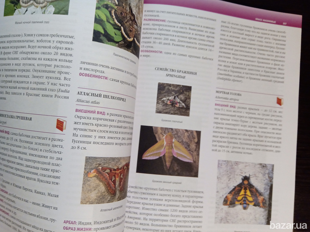 Энциклопедия Животные Львів - зображення 6