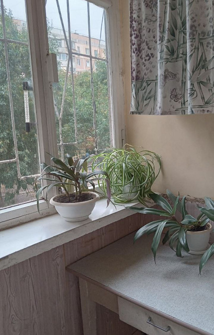 Продам 3 ком.кв. на Таирова, ул.Ак.Королева/Архитекторская. Одесса - изображение 9