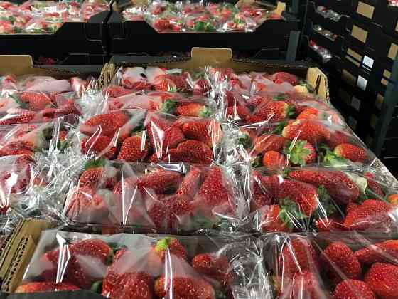 Продаем клубнику Київ