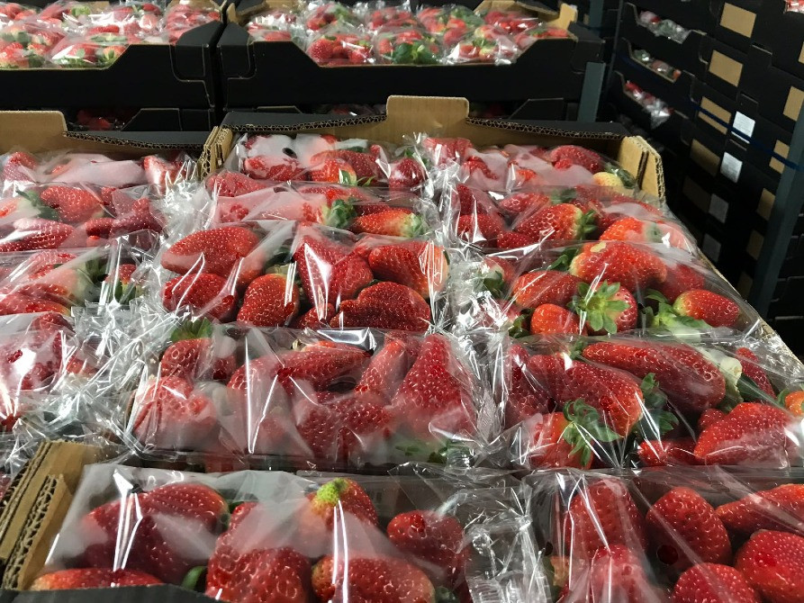 Продаем клубнику Киев - изображение 5