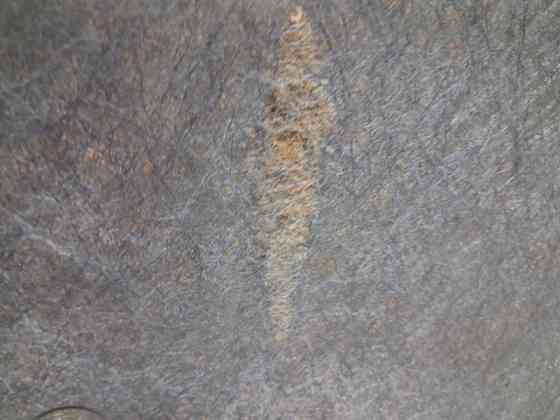 Обшивка капота Mazda CX 9 TB 3.7 БЕНЗИН MZI 2006 (б/у) Киев