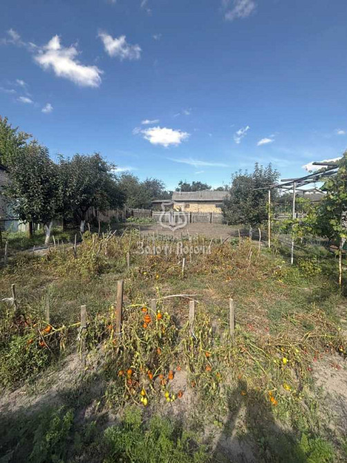 продажа 4-к дом Бородянский, Новый Корогод, 71000 $  - зображення 6