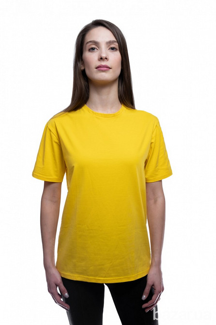 Витяжка вбудована Gorenje TH-60E3-X Київ - зображення 1