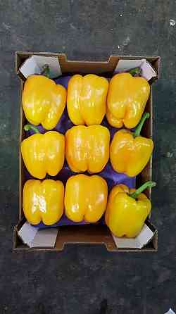 Продаем перенц Київ