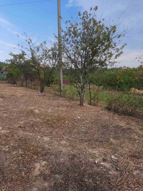 продажа участок под жилую застройку Ужгород, 13500 $ Ужгород - зображення 9