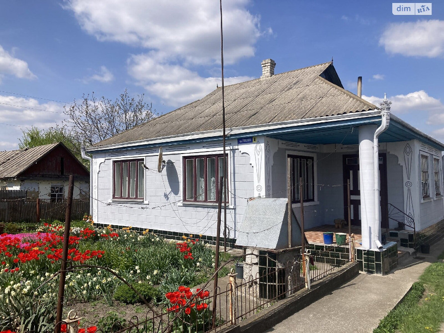 Продаж будинку в с. Помічна Новоукраїнського району Кіровоградської області Помічна - зображення 8