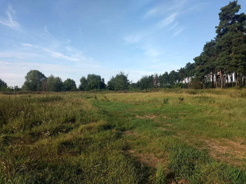 Земельна ділянка площею 0,5000 га в с. Дернівка Барышевка - изображение 6