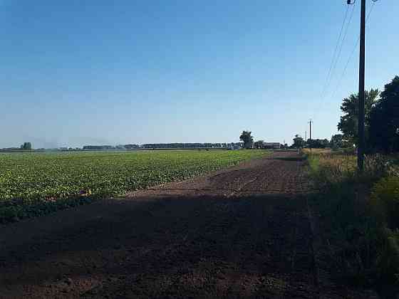 продажа земля сельскохозяйственного назначения Бориспольский, Сеньковка, 1302000 грн. 