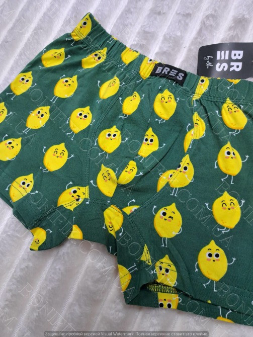 Мужские боксеры с принтом лимонов "Bres" (арт. МSHK 304/03/134) Кривий Ріг - зображення 2