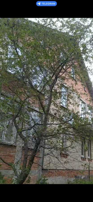 продажа 5-к дом Васильковский, Мархалевка, 75000 $  - зображення 2