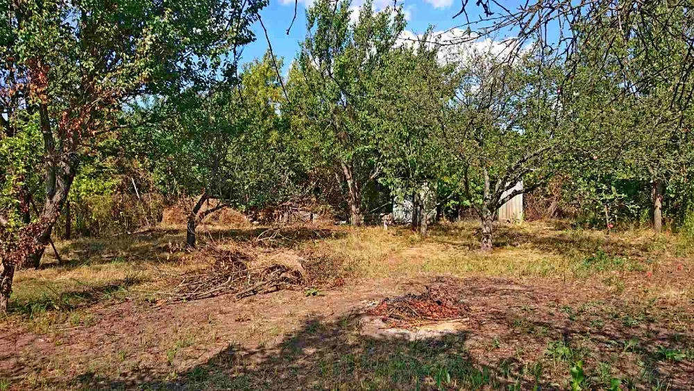 Продам двоповерховий дачний будинок в СТ Вороничі (Великополовецьке). Біла Церква - зображення 10