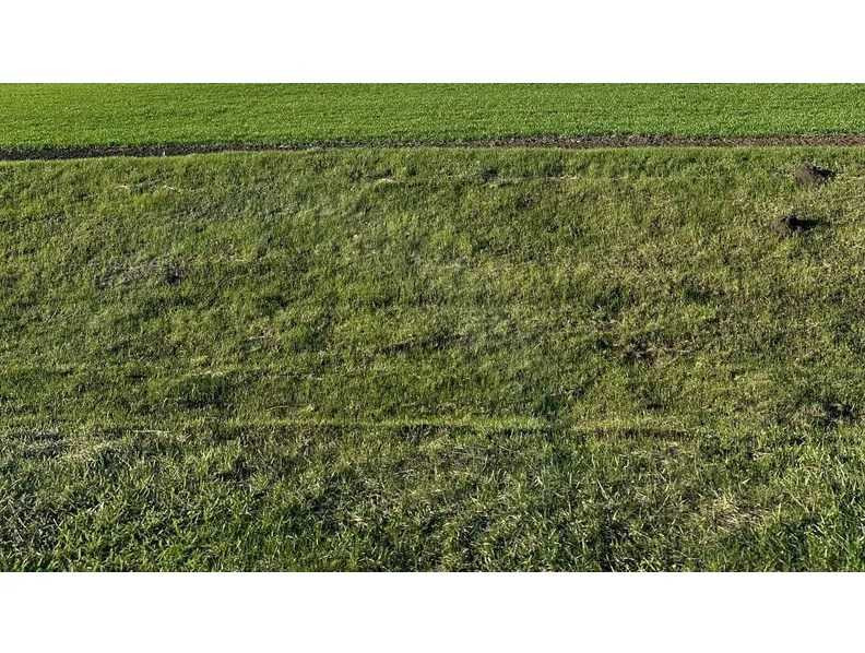 продажа земля сельскохозяйственного назначения Никопольский, Лошкаровка, 98232 грн.  - зображення 1