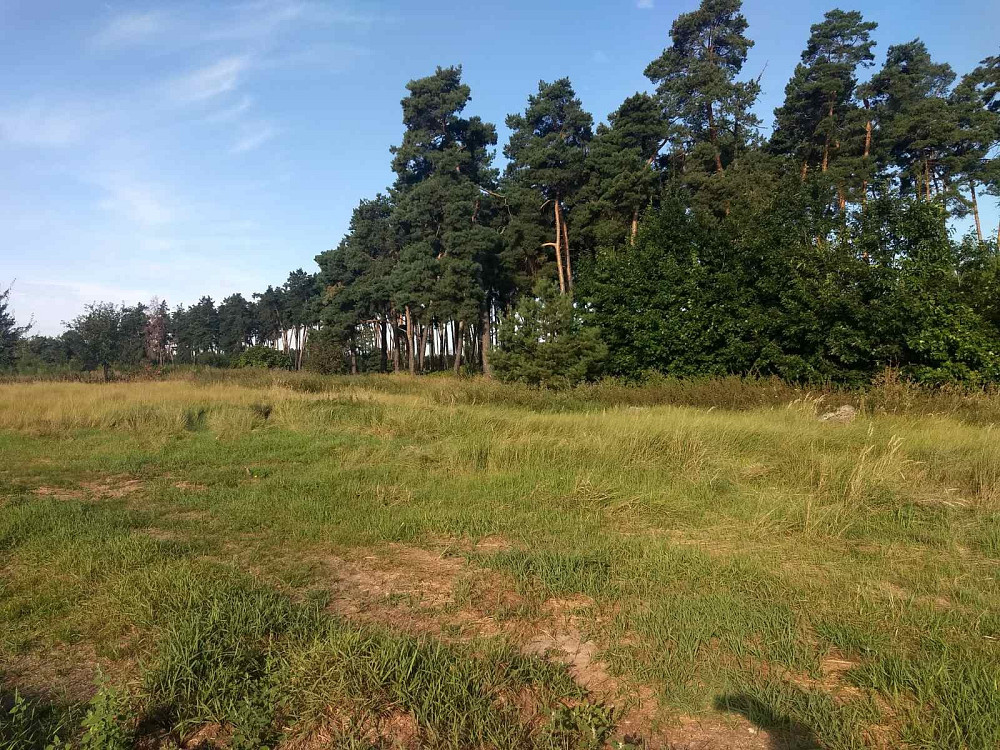 Земельна ділянка площею 0,5000 га в с. Дернівка Барышевка - изображение 7