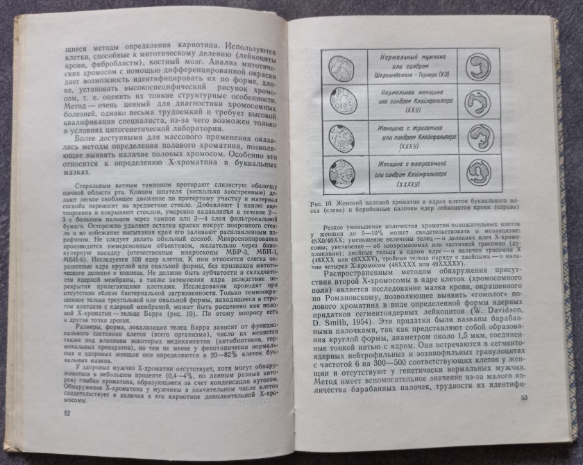 Клиническая генетика в психиатрии. Полищук И.А., Булахова, Л.А. Харьков - изображение 3