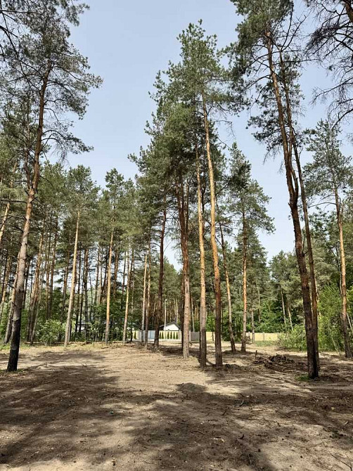 продажа участок под жилую застройку Новомосковский, Песчанка, 25000 $  - изображение 1