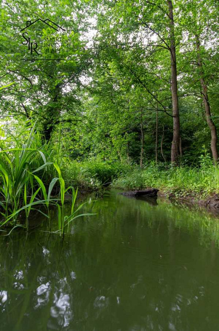 продажа участок под жилую застройку Киево-Святошинский, Хотов, 75000 $  - зображення 9