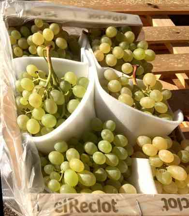 Продаем виноград Київ