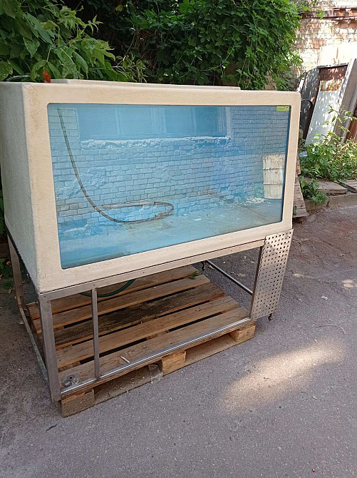 Аквариум и омариум для рыбного магазина, ресторана и кафе Київ - зображення 1