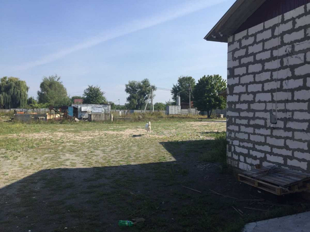долгосрочная аренда производственные помещения Васильковский, Крушинка, 64000 грн./мес.  - зображення 4