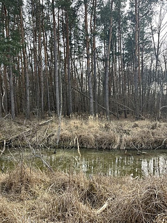 Земельна ділянка під забудову Світязь, Шацькі озера (Пулемець) Шацьк - зображення 10