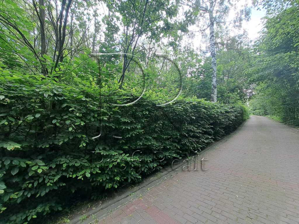 продажа участок под жилую застройку Обуховский, Креничи, 10000 $  - зображення 3