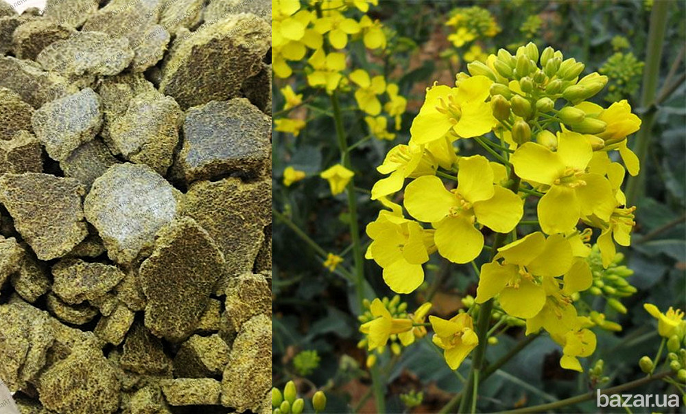 Продаем жмых / макуху рапсовую 2 сорта! Образцы отправляем! Александрия - изображение 1